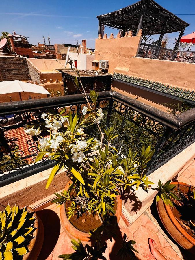 Riad Msholidays Bassin Privatise Marrakech Marrákes Kültér fotó